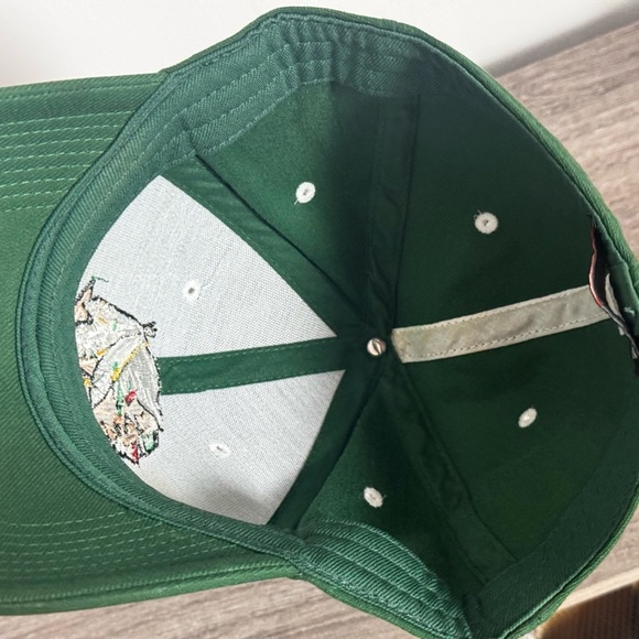 Vintage North Dakota Fighting Sioux Nike Hat Adjustable Embroidered Native NCAA - Picture 4 of 5